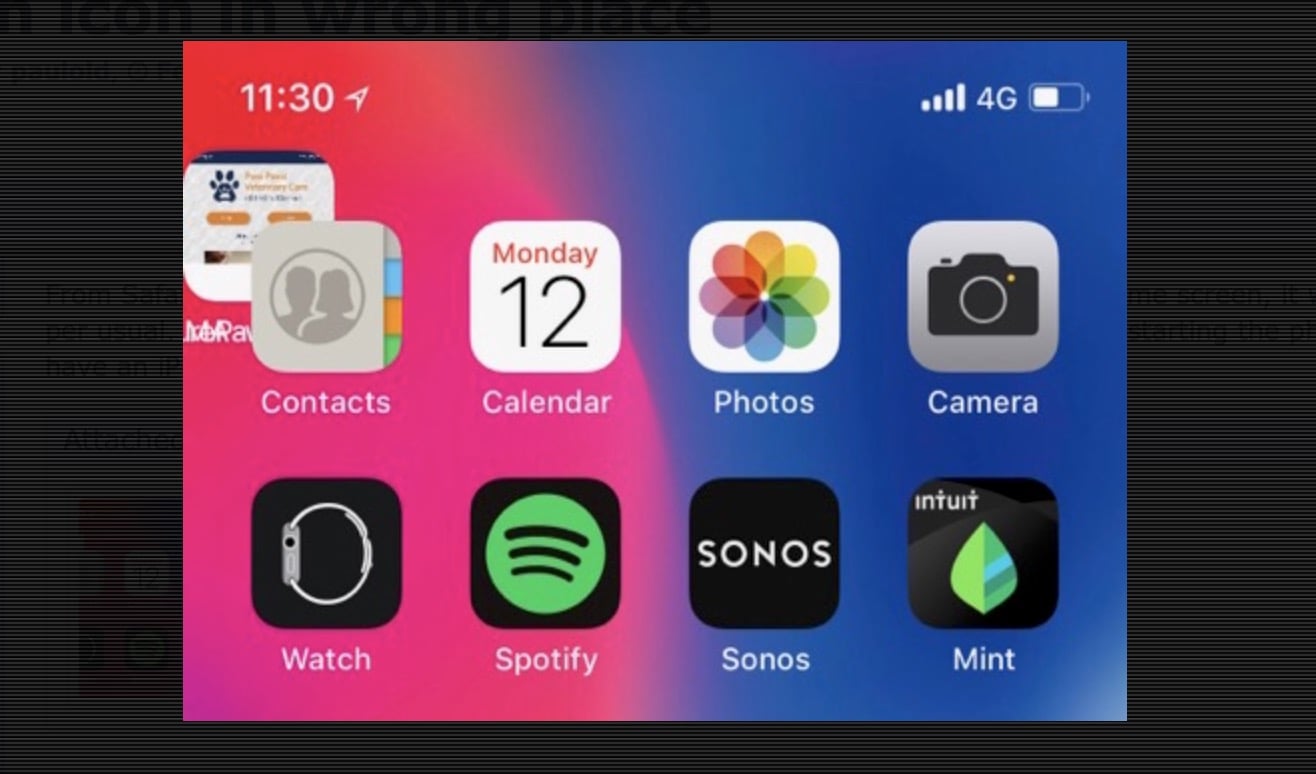 ios114-bug.jpg