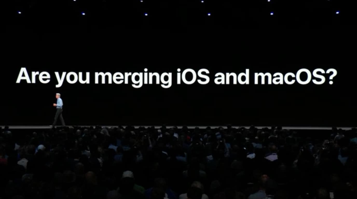 screen-shot-2018-06-04-at-1-06-17-pm.jpg
