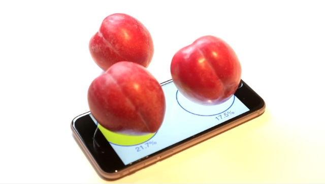 plum-o-meter.jpg