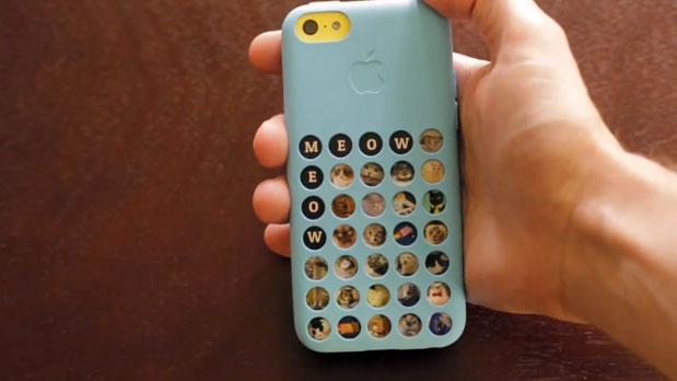 catcoveriphone5c.jpg