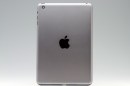 iPad mini grigio siderale