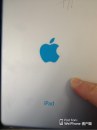 iPadmini-Retina-logoblu